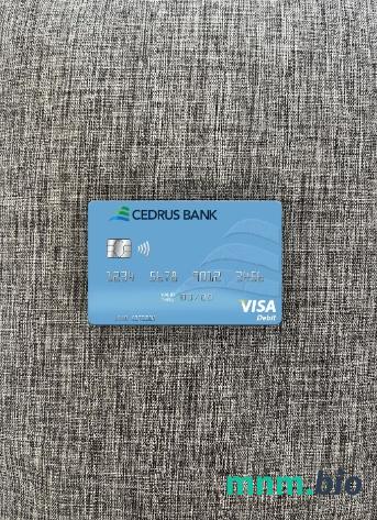 Lebanon Cedrus bank visa obciążyć card wygląd fotograficzny skan PSD + zdjęcie